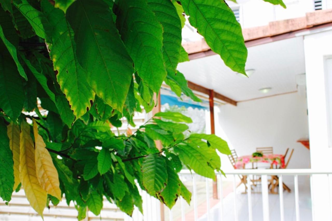 Villa Bougainvillier Les Trois-Ilets Ngoại thất bức ảnh